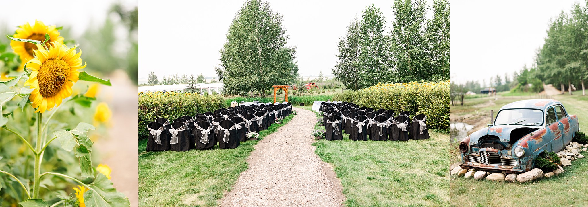 summer-second-wedding-calgary-zoo-grazers-restaurant-peggy-dave-ethereal-photography-inc_0032.jpg summer-second-wedding-calgary-zoo-grazers-restaurant-peggy-dave-ethereal-photography-inc_0032.jpg