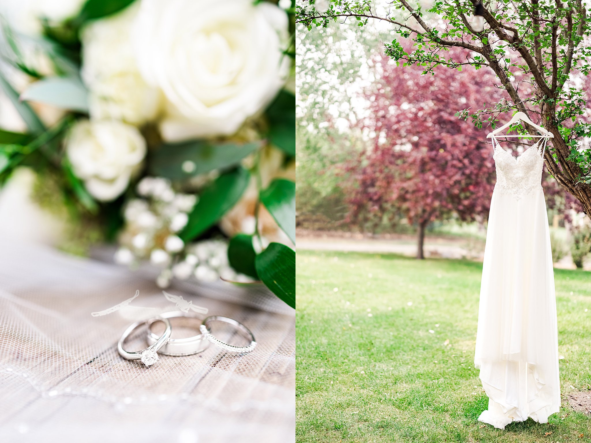 summer-second-wedding-calgary-zoo-grazers-restaurant-peggy-dave-ethereal-photography-inc_0035.jpg summer-second-wedding-calgary-zoo-grazers-restaurant-peggy-dave-ethereal-photography-inc_0035.jpg