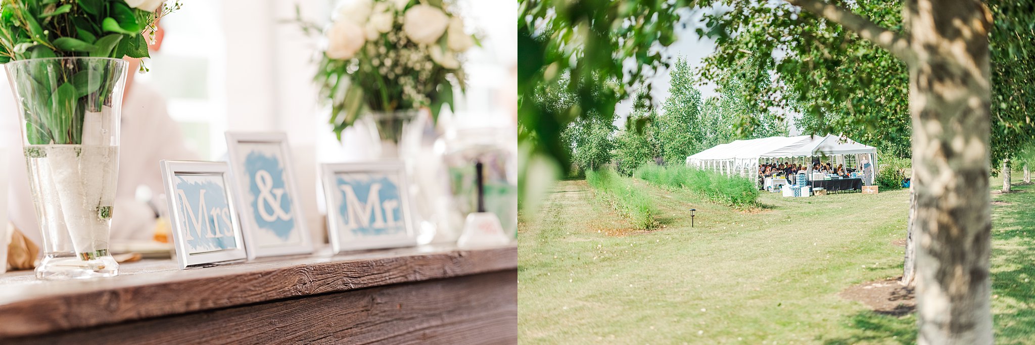 summer-second-wedding-calgary-zoo-grazers-restaurant-peggy-dave-ethereal-photography-inc_0083.jpg summer-second-wedding-calgary-zoo-grazers-restaurant-peggy-dave-ethereal-photography-inc_0083.jpg