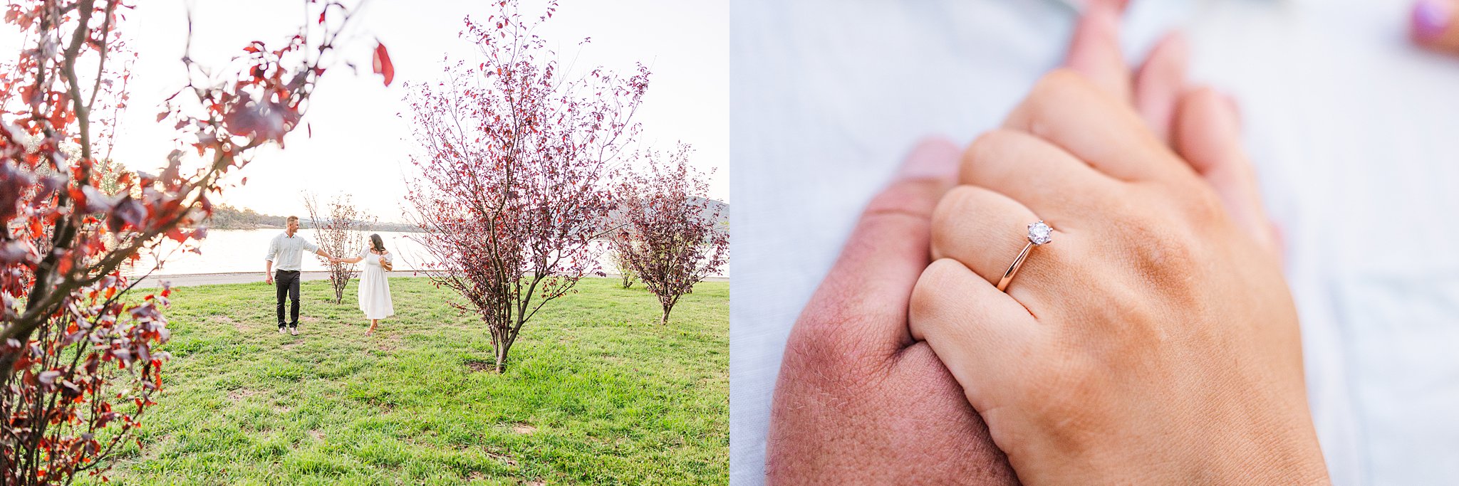 all-dressed-in-white-engagement-session-canberra-lennox-gardens-sunset_0019.jpg